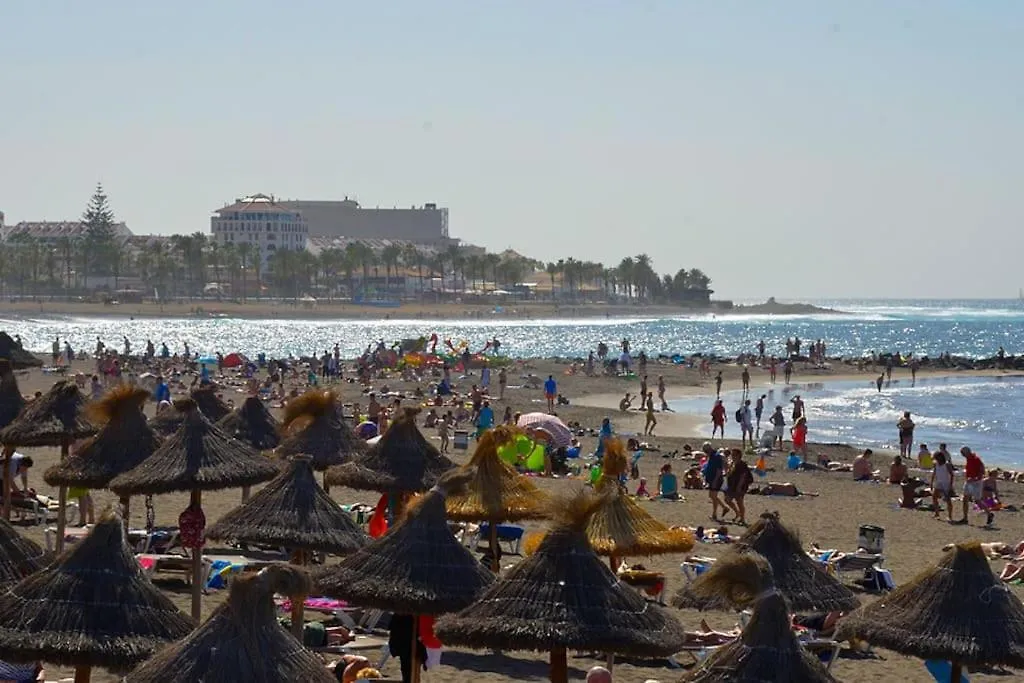 Cozy Studio Las Americas Apartment Playa de las Americas  0*, Playa de las Americas (Tenerife) Spain