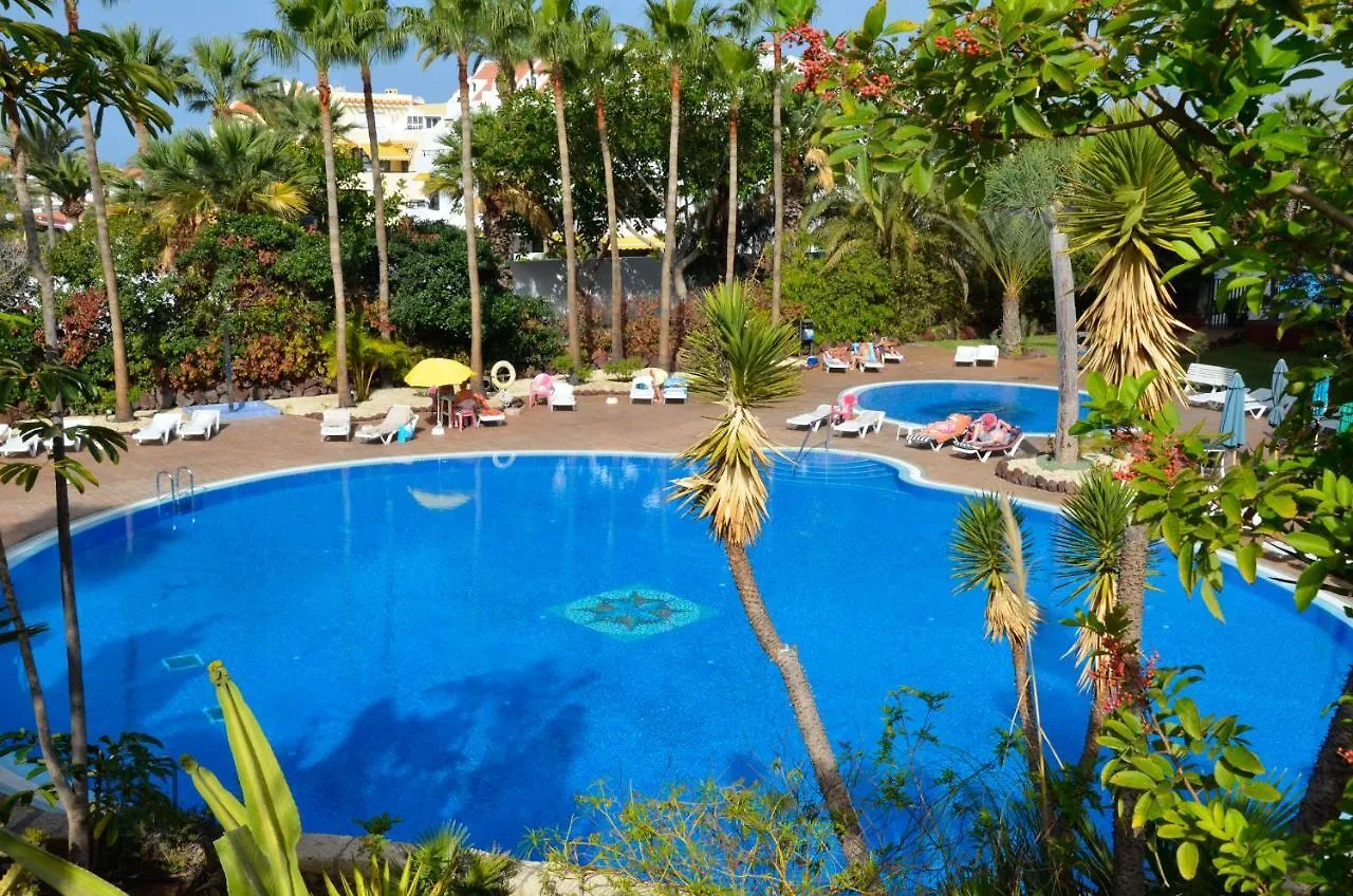 Cozy Studio Las Americas Apartment Playa de las Americas   Playa de las Americas (Tenerife)